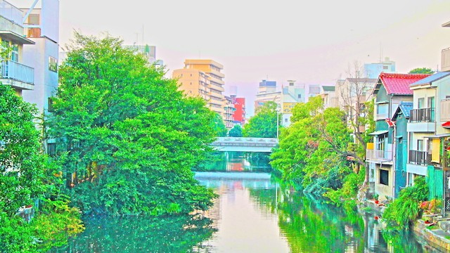 river1_S